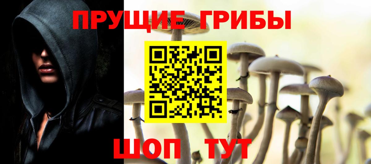 Галлюциногенные грибы MAGIC MUSHROOMS Янаул