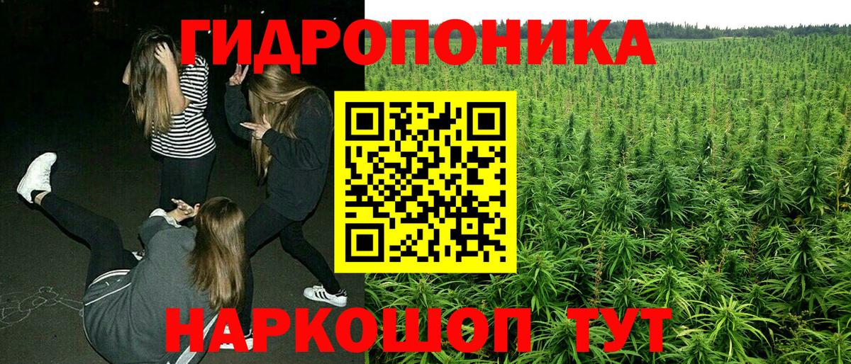 Янаул  Бошки Шишки THC 21%  Вход с VPN  Марихуана Bruce Banner  Конопля тримм 